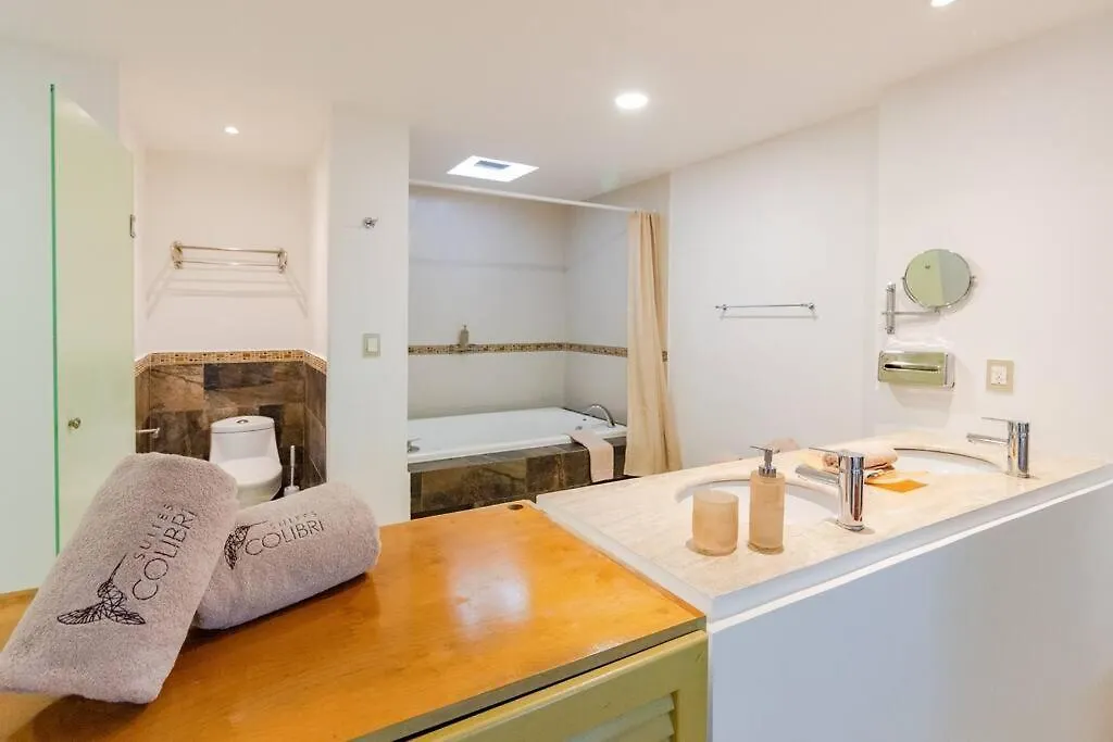 Apartment Encantadora Suite Super Amplia En Colibri Playa Del Carmen